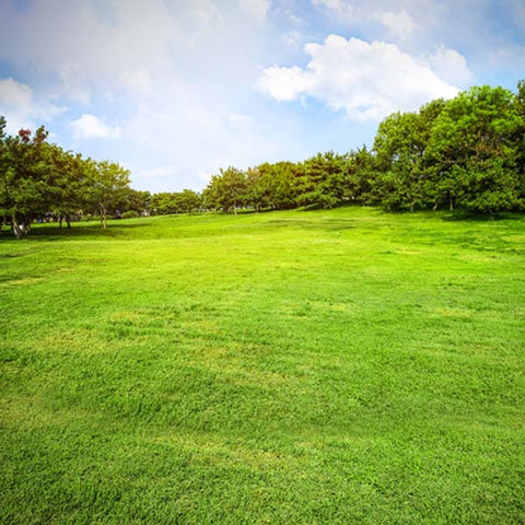 detector de oro y plata