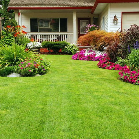 detector de oro y plata