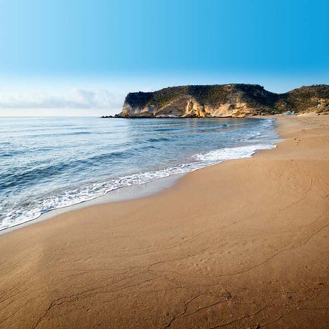 detector de oro y plata