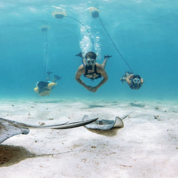 Nemo Dive System